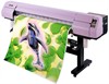 Dịch vụ in Hiflex- PP- Decal tại Phan Thiết- Bình Thuận