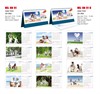 Lịch Tết chủ đề Khát Vọng- Thành Công